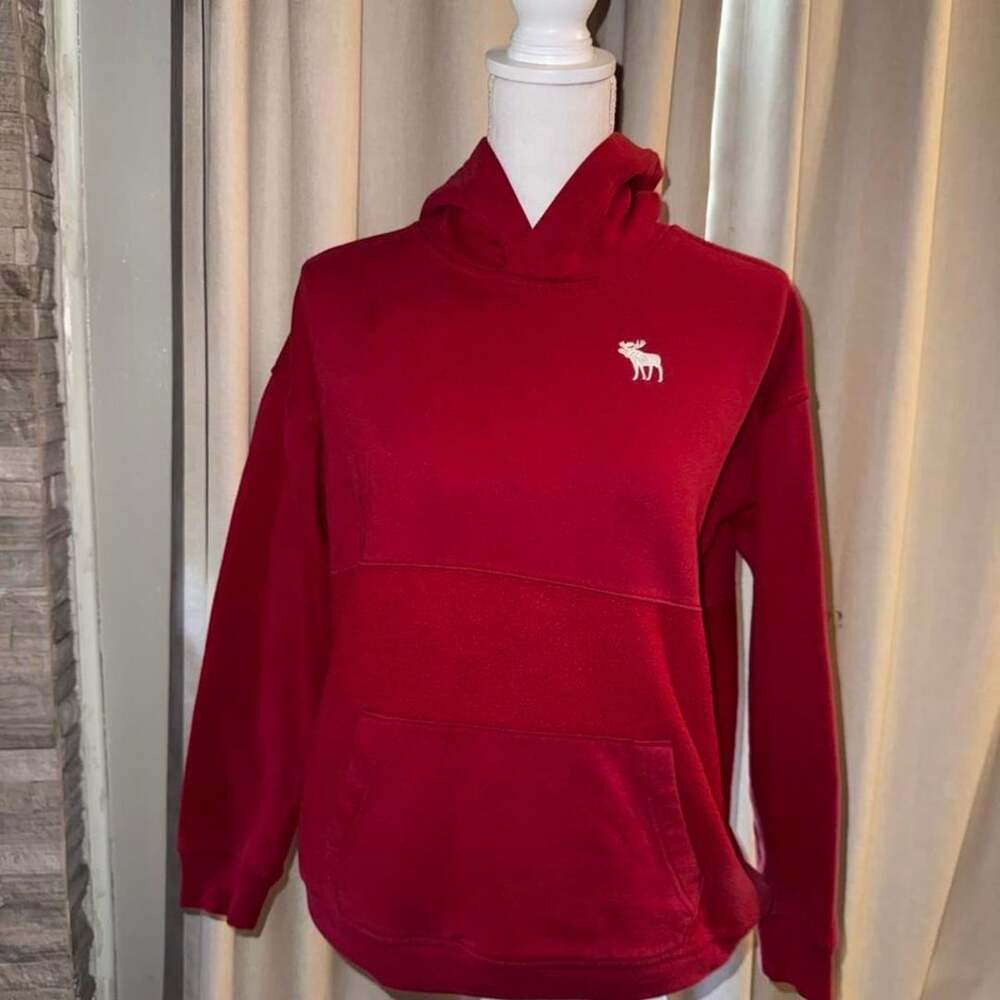Abercrombie Kids Logo Hoodie Size 15/16 Red Graphic Pullover Sweatshirt